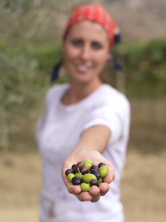 extravergine oliva